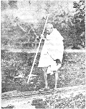 innoakhali.gif (220445 bytes)